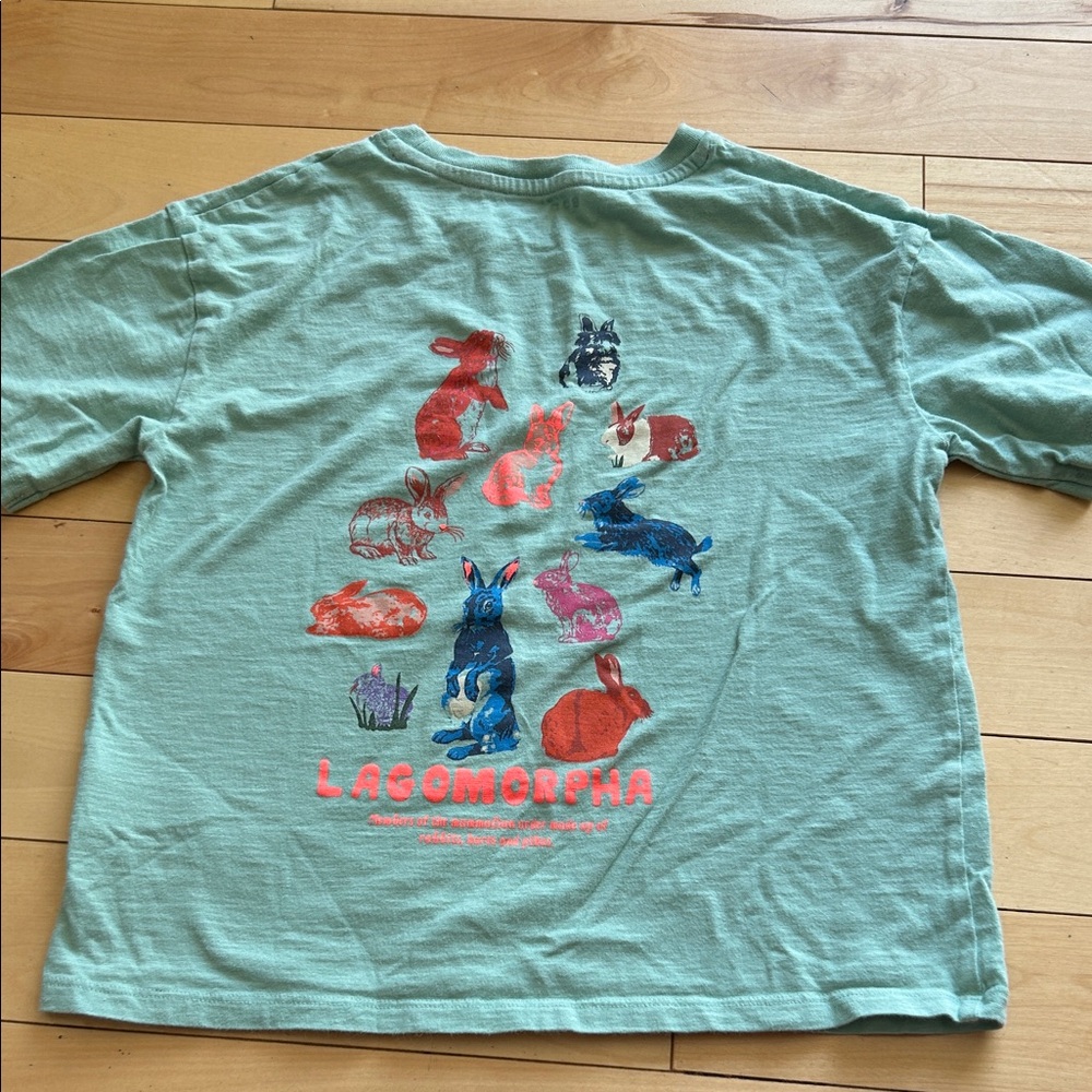 Mini Boden Kids Mint Green Bunny Graphic Tee